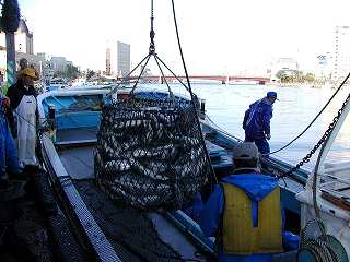 20080929-1002hokkaido (4).jpg